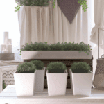 Doniczki w kształcie twarzy – artystyczna forma dla Twoich roślin