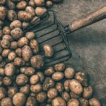 Osłonka z różanym motywem – romantyczna klasyka na kwiatowy sezon