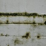 Czym zmyć okopcone ściany? Przywróć czystość po pożarze lub świecach