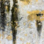 Czym zmyć grzyb ze ściany? Domowe sposoby na zdrowe wnętrza