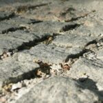 Czym zmyć klej po naklejkach? Zero śladów, zero klejenia