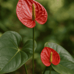 Jak przechowywać jajka, żeby zachowały świeżość jak najdłużej?