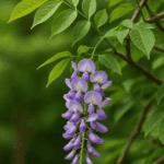 Ziemia do warzyw w skrzyniach – nie kupuj gotowca, zrób idealną mieszankę sam