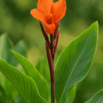 Jak przechowywać chleb, żeby był świeży jak najdłużej?