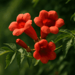 Jak przechowywać paprykę, by nie więdła i nie pleśniała?