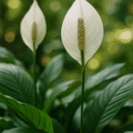 Jak przechowywać awokado, by nie sczerniało zbyt szybko?