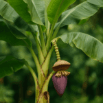 Jak zrobić dżem z rabarbaru – wiosenny klasyk w nowej odsłonie, której jeszcze nie znasz