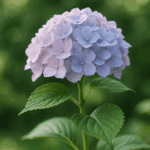 Jak zrobić dżem z malin – idealnie gładki bez pestek, zdradzamy babciny patent