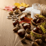 Zamrażarka jaką wybrać, by zapasy na zimę przetrwały w idealnym stanie