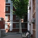 H1: Wyprzedaż mebli BoConcept – odkryj duńskie hygge w świątecznym wydaniu