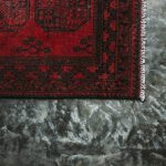 Kiedy sadzić kwiaty na balkon? Jak dobrać termin do warunków pogodowych i ekspozycji